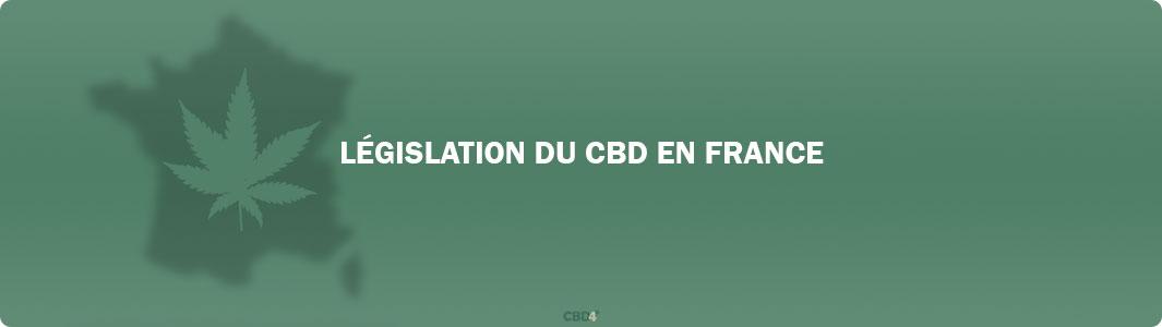 Législation Sur Le CBD En France En 2024