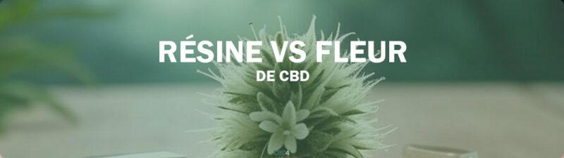 fleur cbd vs resine cbd